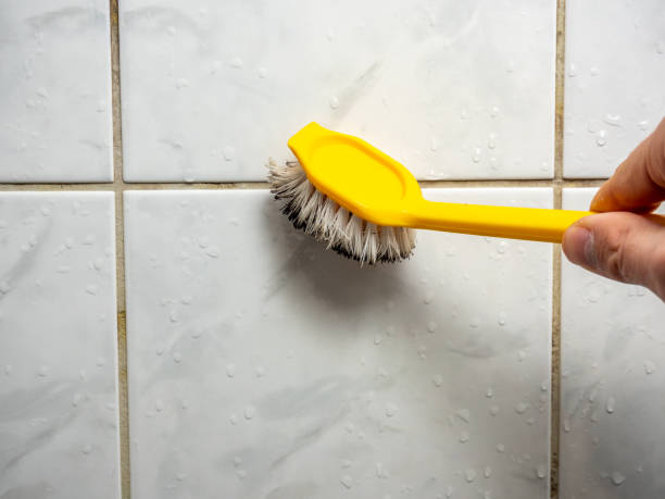 Best Best Mold Removal Companies  in Mount Zion, GA