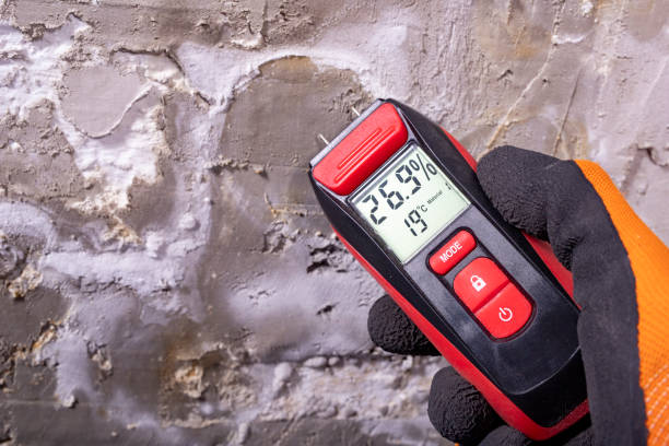 Best Mold Remediation  in Mount Zion, GA