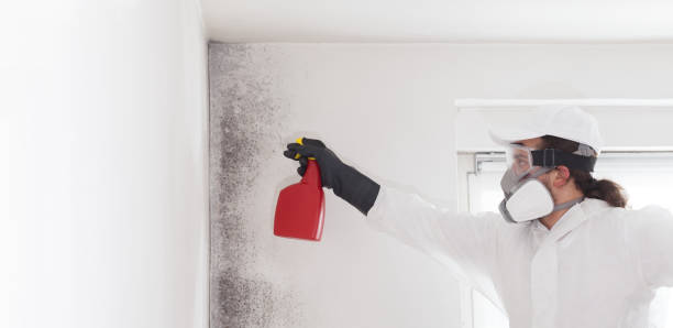 Best Residential Mold Removal  in Mount Zion, GA